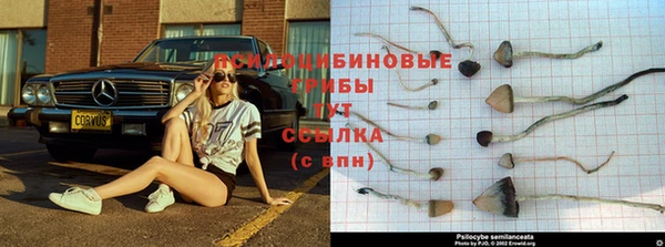 гидропоника Бугульма