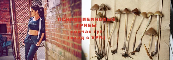 гашишное масло Богородицк